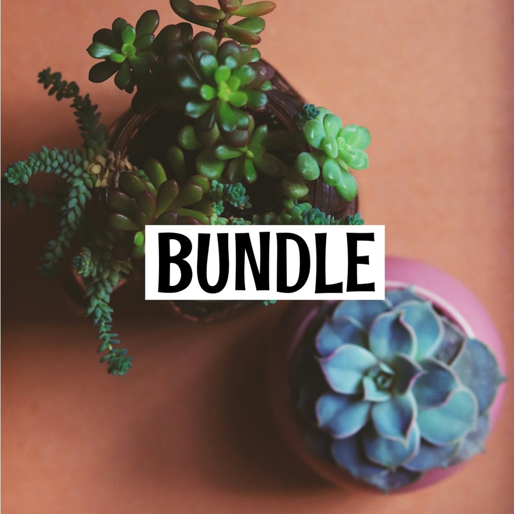 Bundle for Tam